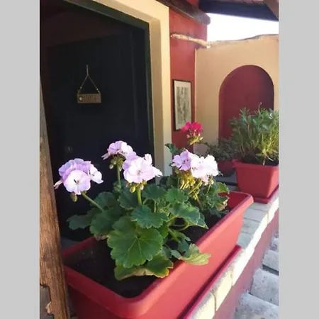 Green Hill Studio Corfu Town Exteriér fotografie