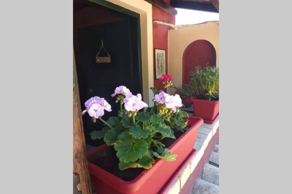 Hill Corfu Town Apartment Corfu (city)